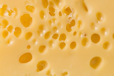 Sarı peynir arka plan