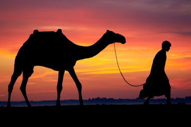 Silhouette of Arab with camel at sunrise clipart