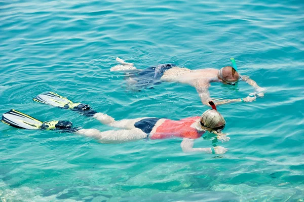 アクティブなカップル紅海でシュノーケ リング — ストック写真