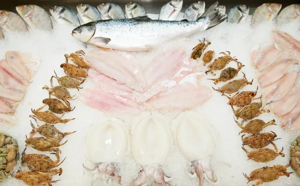Set of fresh frozen seafood — Stock Photo, Image