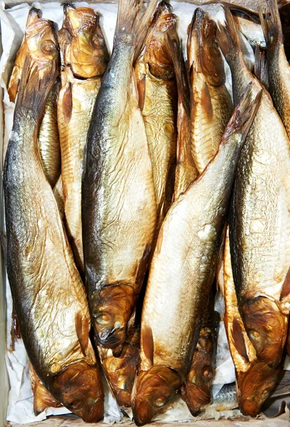 Smoked herring fish — Stock Photo, Image
