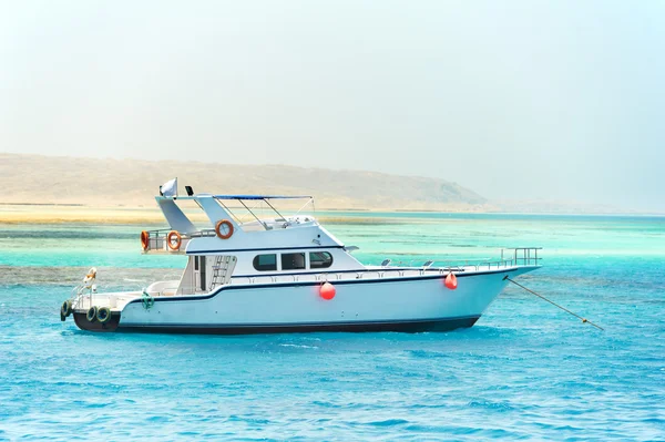 stock image One white yacht in red sea