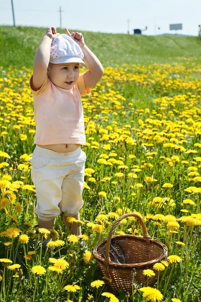 Malé dítě stojící na poli květin s košíkem — Stock fotografie