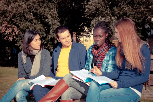 Collegestudenter studera tillsammans på park — Stockfoto