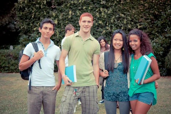 Gruppo multiculturale di studenti universitari Immagini Stock Royalty Free