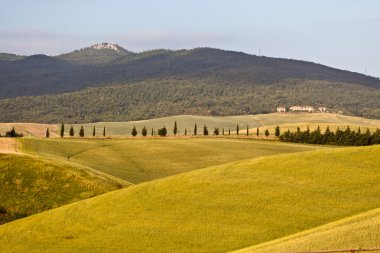 Toskana hills sunrise adlı