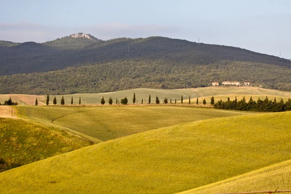 Tuscany Hills at Sunrise Stock Photo