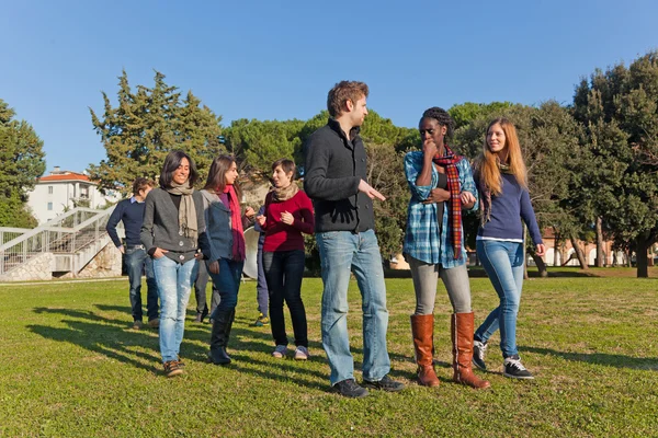 Студенты колледжа в парке — стоковое фото