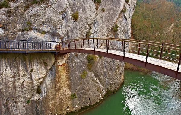 stock image Wooden Bridge