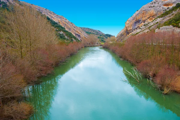 Río Aragón — Foto de Stock