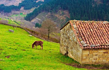 yamaçlarda Pyrenees