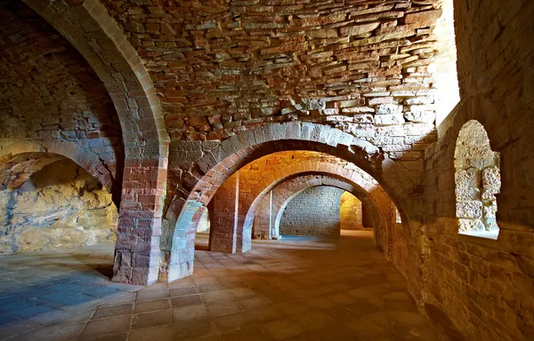 Vaulted Dungeon — Stock Photo, Image