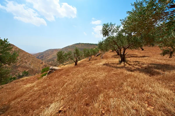 Góry z Samarii — Zdjęcie stockowe