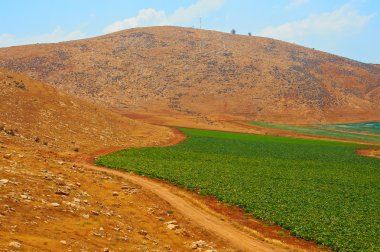 Hills of Samaria clipart