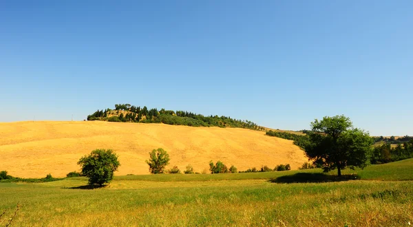 Sloping Meadows — Stock Photo, Image