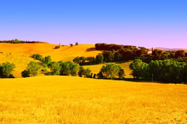 eğimli meadows