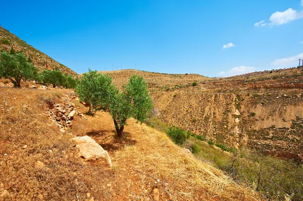 Góry z Samarii — Zdjęcie stockowe