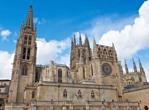 Catedral gótica — Fotografia de Stock