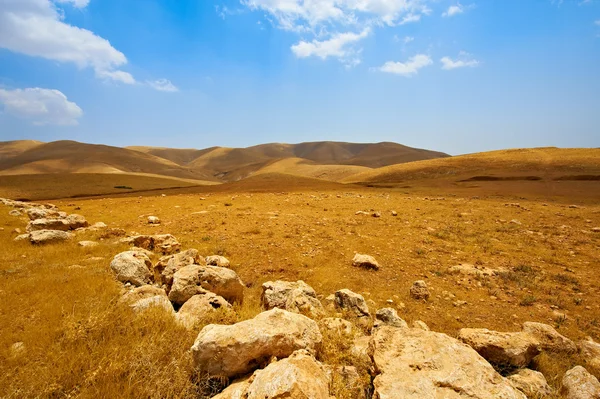 Israel Desert — Stock Photo, Image