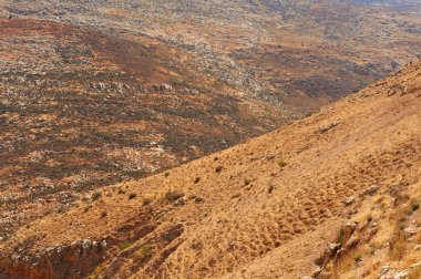 Mountains of Samaria