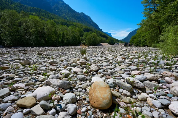 stock image Dry River Bed