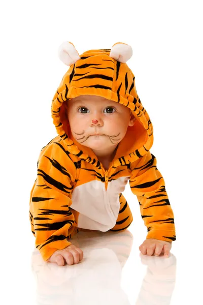 Dziecko Tygrys — Zdjęcie stockowe