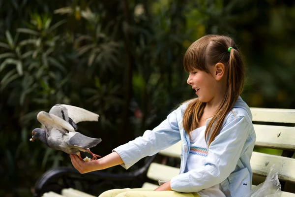Девочка, кормящая голубей — стоковое фото