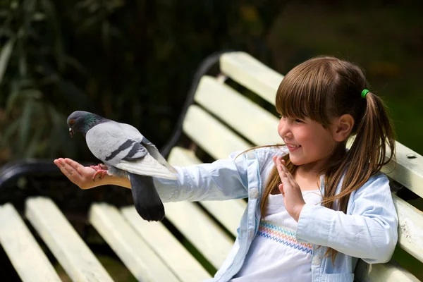 Girl feeding Pigeon — Stock Photo, Image