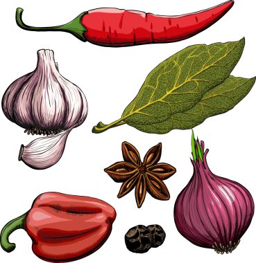 Spice. Onion, garlic, pepper, bay leaf, hot pepper clipart