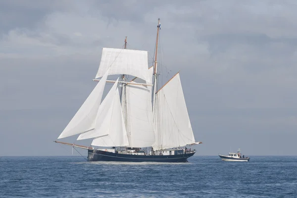 Schooner and cutter — Stock Photo, Image