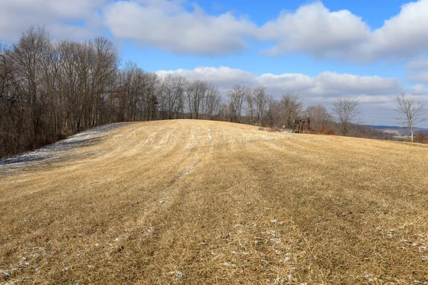 stock image Spring in Ohio