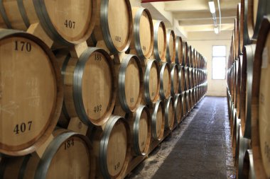 Winery in Yerevan clipart