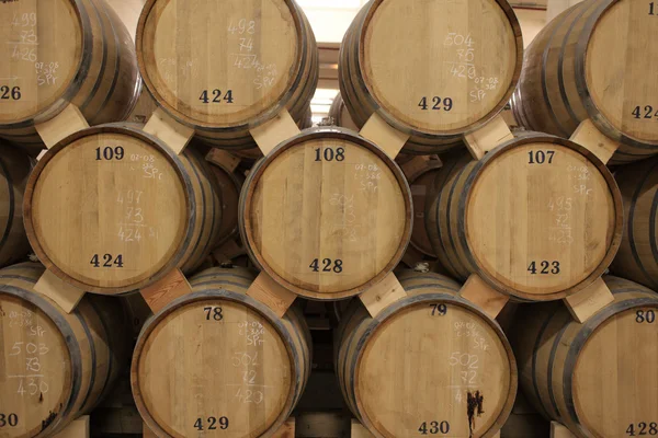 Barrels of brandy — Stock Photo, Image