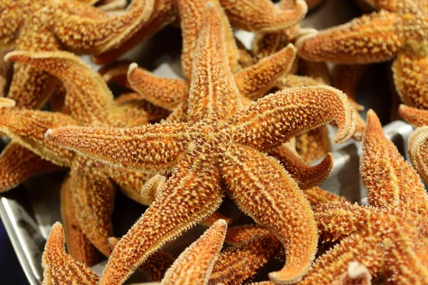 Starfishes como alimento — Fotografia de Stock