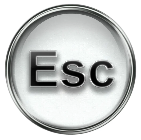 ESC ikona šedá — Stock fotografie