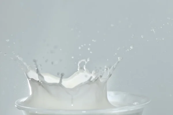 Salpicadura en un vaso de leche — Foto de Stock