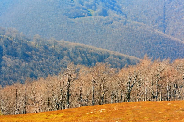 喀尔巴阡山脉 — 图库照片