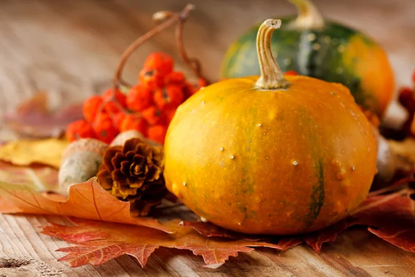 stock image Harvested pumpkins with fall leaves