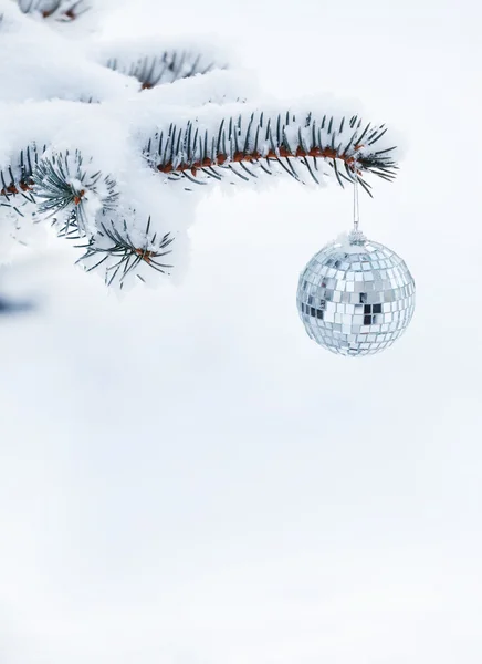 Kerstmis bal op de spar — Stockfoto