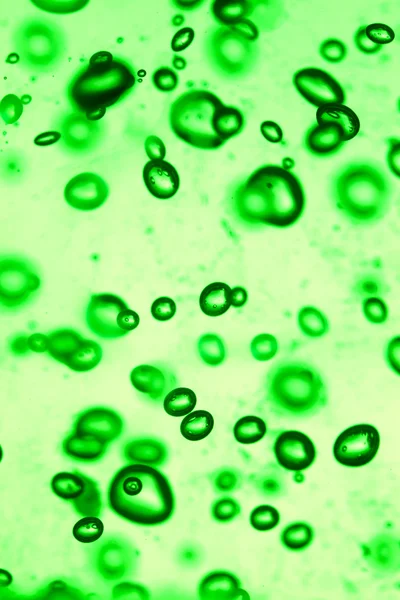 Texture des cellules virales — Photo