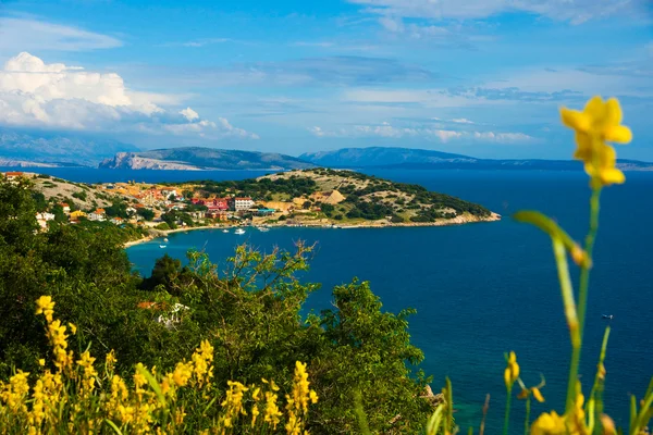 Isola di Krk — Foto Stock