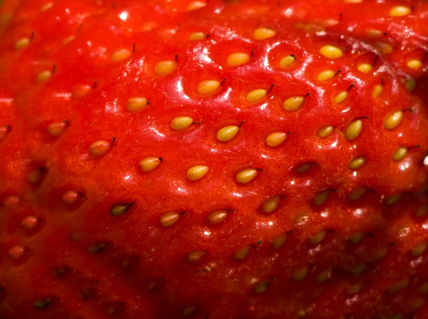 Stock image Strawberry