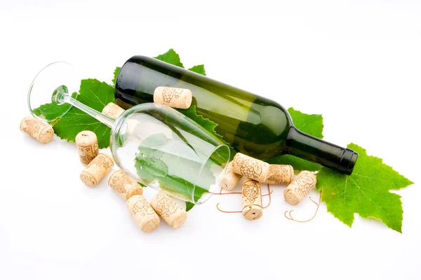 Bouteille de vin sur la vigne — Photo