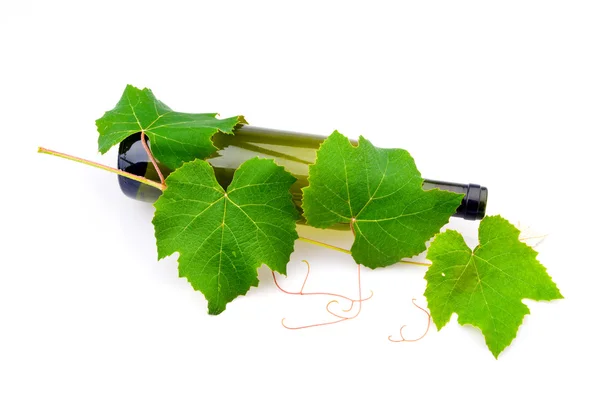 Vinho e folhas de uva — Fotografia de Stock