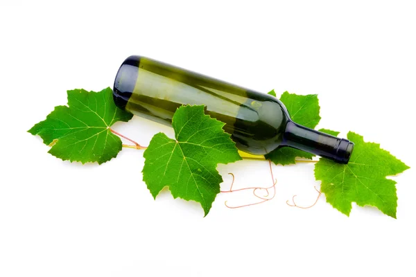 ワインとブドウの葉 — ストック写真