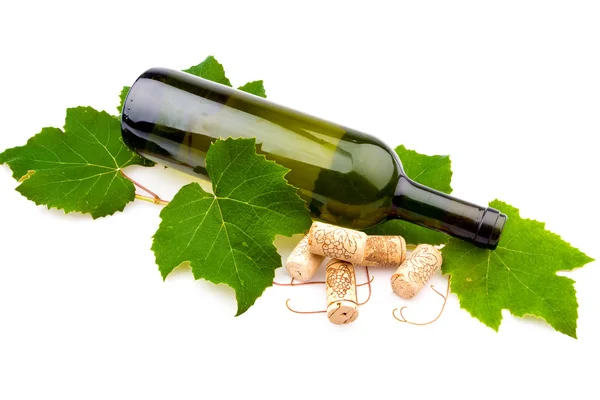 Şarap ve üzüm yaprakları — Stockfoto