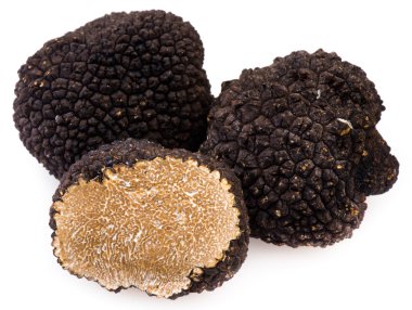 Black truffles clipart
