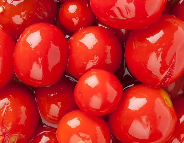 Червоні помідори квашені — стокове фото