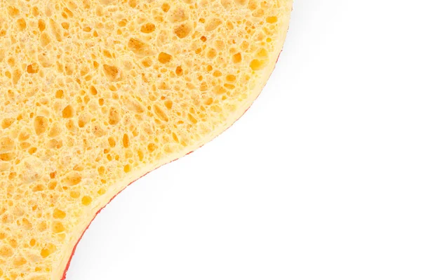 Orange sponge — Stock Photo, Image