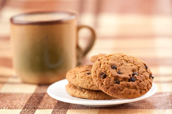 Close-up of chocolate chip cookies — Stock Photo, Image
